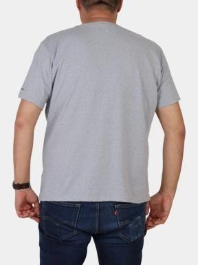 Columbia Path Lake Graphic Tee II férfi rövid ujjú póló szürke színben 3