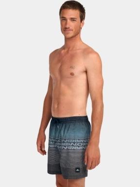 O'Neill O'Neill Logo Stripe 16'' Swimshorts férfi fürdőnadrág szürke színben 1