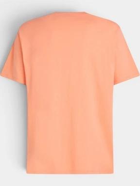 O'Neill O'Neill Beach Chest Print T-Shirt férfi rövid ujjú póló narancssárga színben 3