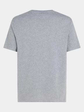 O'Neill O'Neill Logo T-Shirt férfi rövid ujjú póló szürke színben 3