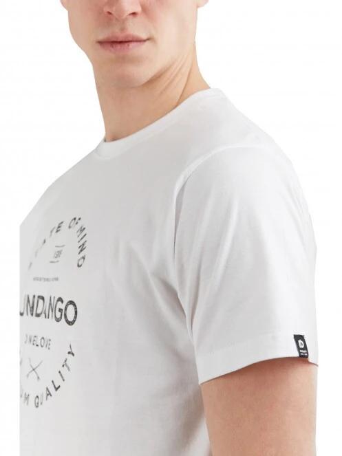 Fundango Basic - T Logo-4 T-shirt férfi rövid ujjú póló fehér színben 5