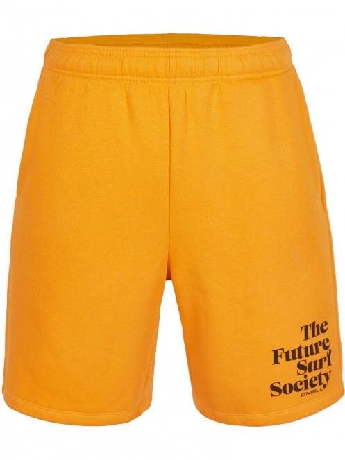 O'Neill Future Surf Short férfi rövidnadrág kék színben 6