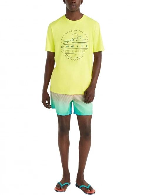 O'Neill Jack O'Neill Cali Gradient 15'' Swim Shorts férfi beach short rózsaszín színben 4