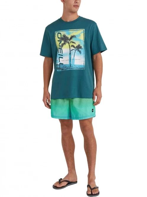O'Neill Jack O'Neill Cali Gradient 15'' Swim Shorts férfi beach short világoskék színben 4