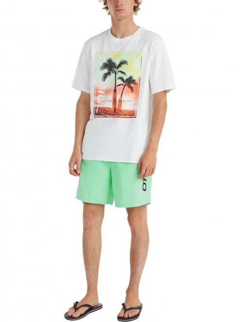 O'Neill Cali 16'' Swim Shorts férfi beach short zöld színben 4