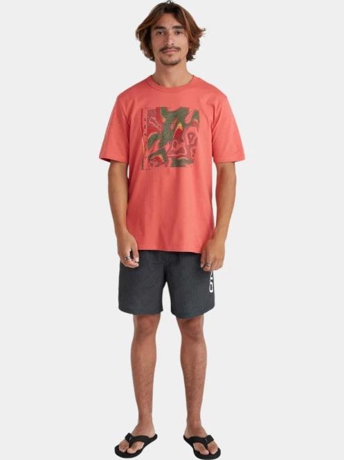 O'Neill Cali 16'' Swim Shorts férfi beach short szürke színben 5