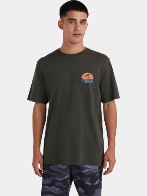 O'Neill O'Neill Beach Graphic T-Shirt férfi rövid ujjú póló szürke színben 2