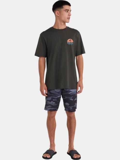 O'Neill O'Neill Beach Graphic T-Shirt férfi rövid ujjú póló szürke színben 4