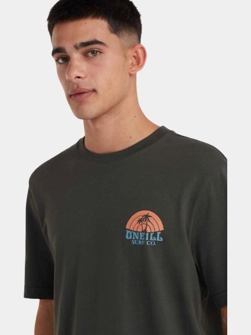 O'Neill O'Neill Beach Graphic T-Shirt férfi rövid ujjú póló szürke színben 5