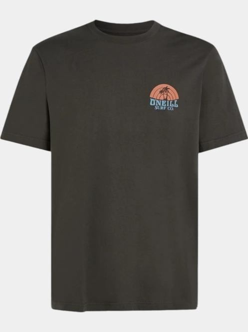 O'Neill O'Neill Beach Graphic T-Shirt férfi rövid ujjú póló szürke színben 6