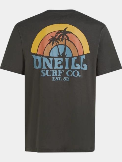 O'Neill O'Neill Beach Graphic T-Shirt férfi rövid ujjú póló szürke színben 7