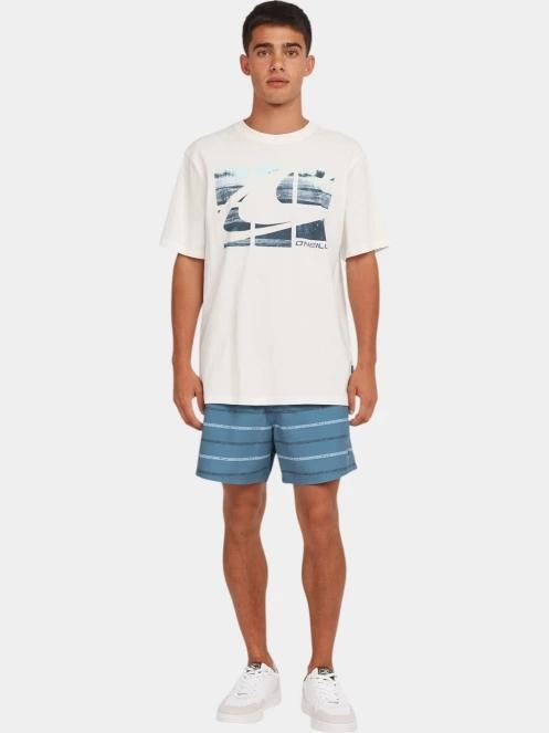 O'Neill O'Neill Gradient T-Shirt férfi rövid ujjú póló fehér színben 4