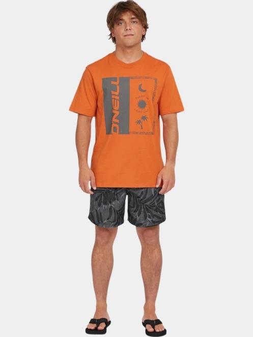 O'Neill O'Neill Front Print T-Shirt férfi rövid ujjú póló narancssárga színben 4