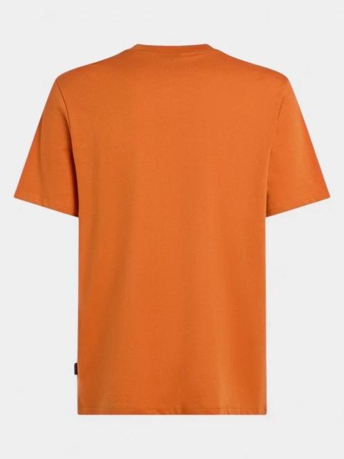 O'Neill O'Neill Front Print T-Shirt férfi rövid ujjú póló narancssárga színben 7