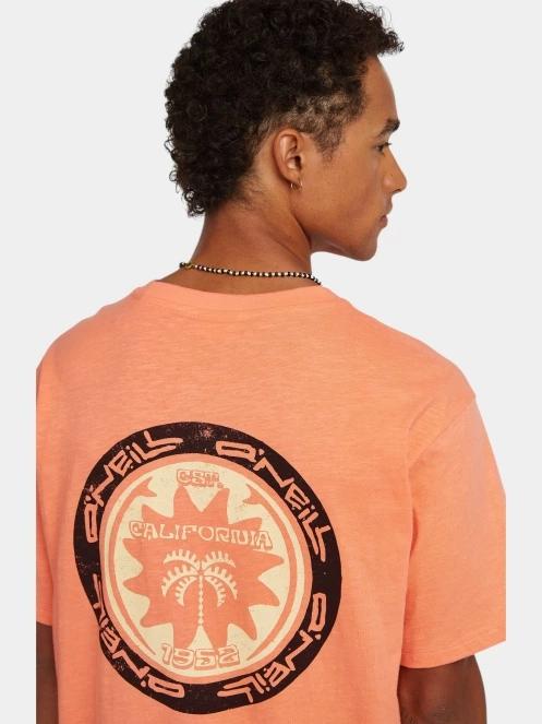 O'Neill O'Neill Slub Back Print T-Shirt férfi rövid ujjú póló narancssárga színben 5