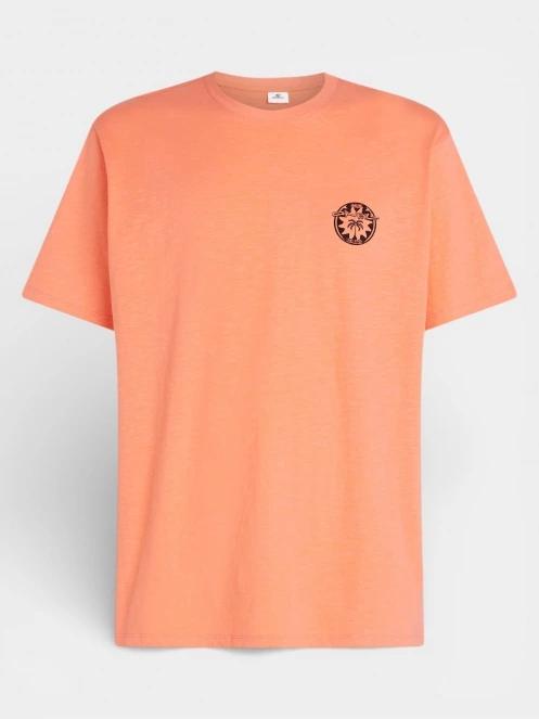 O'Neill O'Neill Slub Back Print T-Shirt férfi rövid ujjú póló narancssárga színben 6