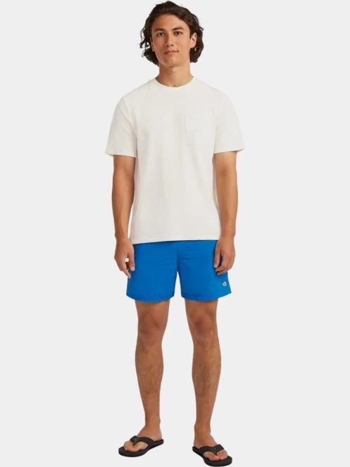 O'Neill Vert 16'' Swim Shorts férfi beach short kék színben 5