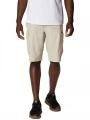 Columbia Silver Ridge Cargo Short férfi túra rövidnadrág homok színben 1