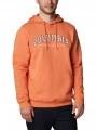 Columbia Csc Basic Logo II Hoodie férfi kapucnis pulóver narancssárga színben 1