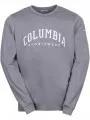 Columbia Csc Seasonal Logo LS Tee férfi hosszú ujjú póló szürke színben 1