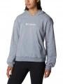 Columbia Columbia Logo III French Terry Hoodie női kapucnis pulóver szürke színben 1